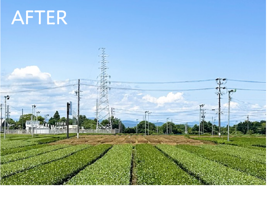 After