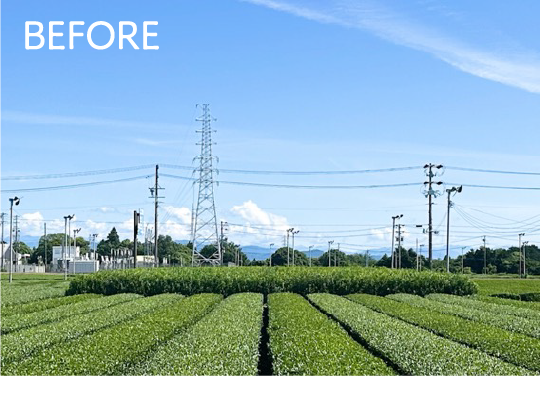 Before