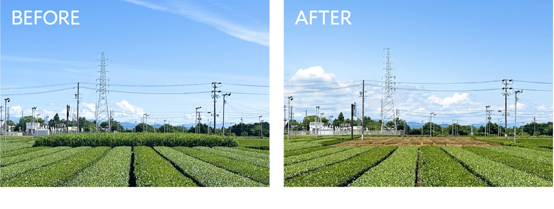 Before After