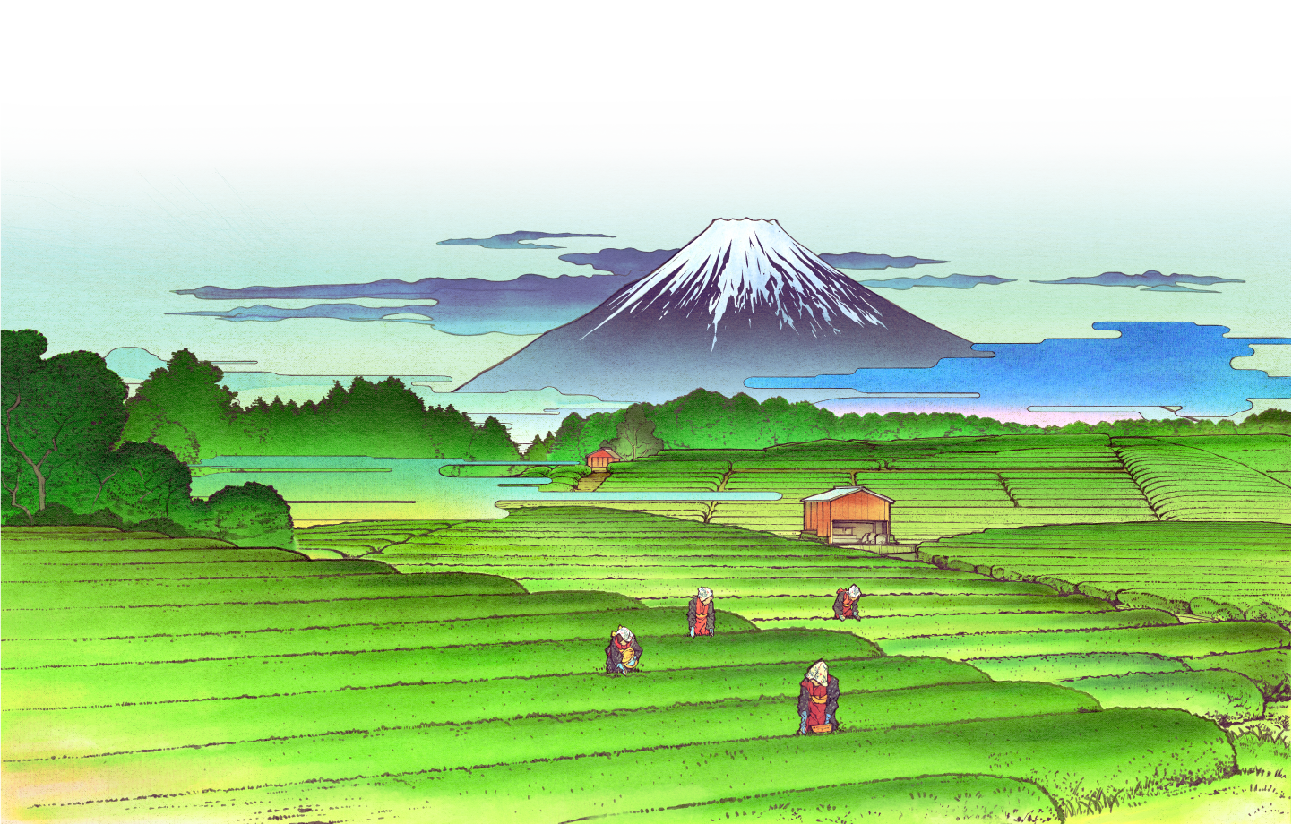 富士山と茶畑
