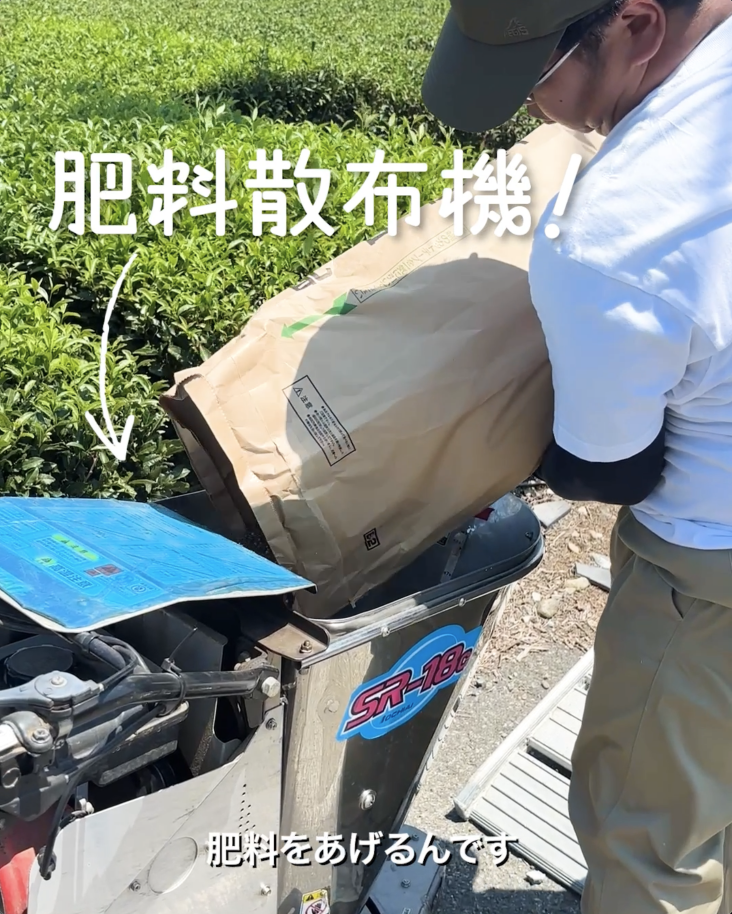 roll-5